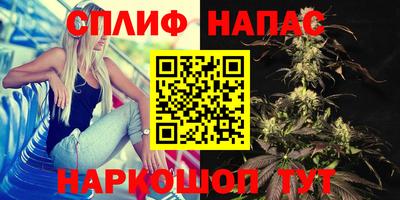 mdpv Шелехов
