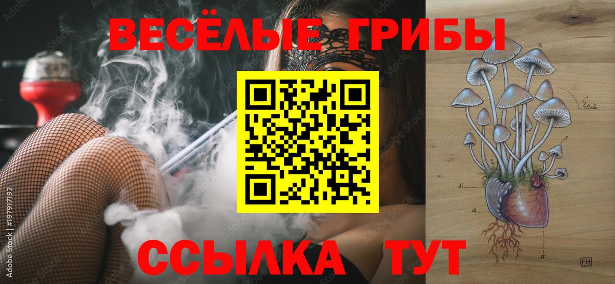 Галлюциногенные грибы мицелий Артёмовский