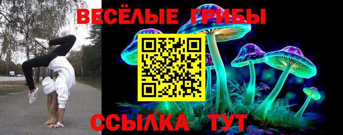 Артёмовский  Галлюциногенные грибы GOLDEN TEACHER  Вход с VPN 