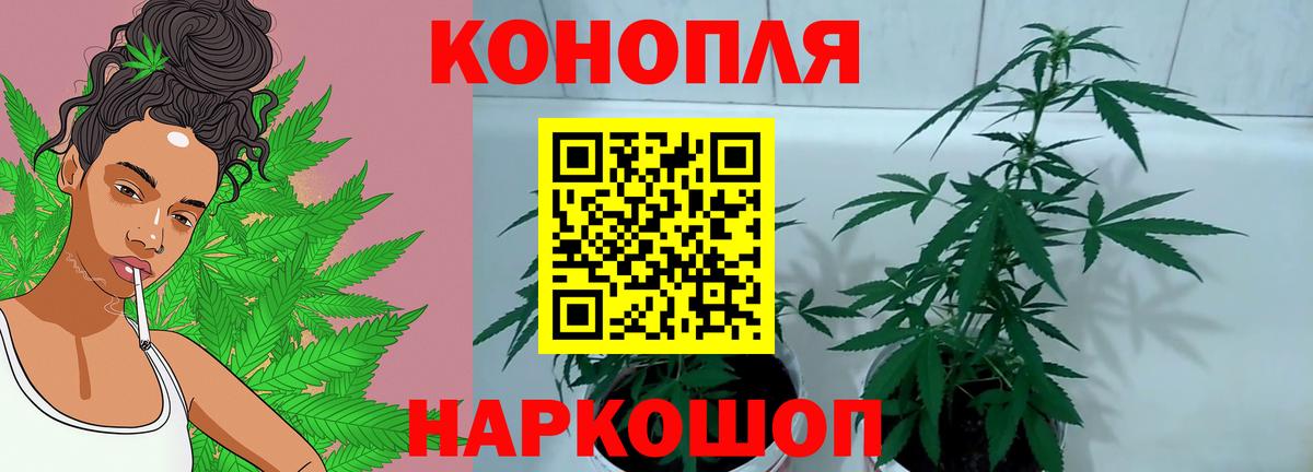 Бошки марихуана индика  Вход с VPN  Артёмовский  Бошки Шишки Amnesia  Марихуана White Widow  МАРИХУАНА конопля 